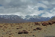 Мустанг. Обратная перемотка. Переход Царанг-Гами