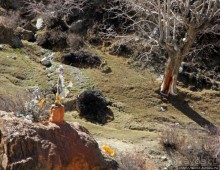 Мустанг. Обратная перемотка. Переход Царанг-Гами