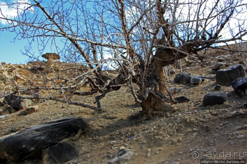 Мустанг. Обратная перемотка. Переход Царанг-Гами