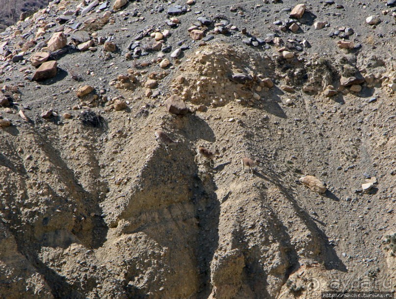 Мустанг. Обратная перемотка. Переход Царанг-Гами