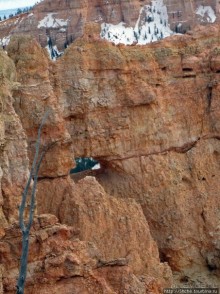 Альбом отзыва "Ponderosa Canyon - американская Каппадокия"