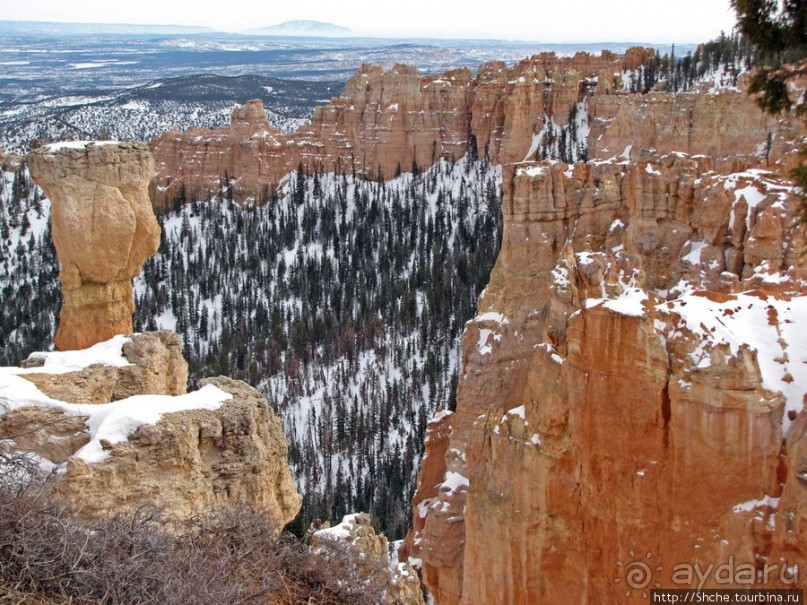 Альбом отзыва "Ponderosa Canyon - американская Каппадокия"