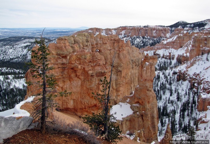 Ponderosa Canyon - американская Каппадокия