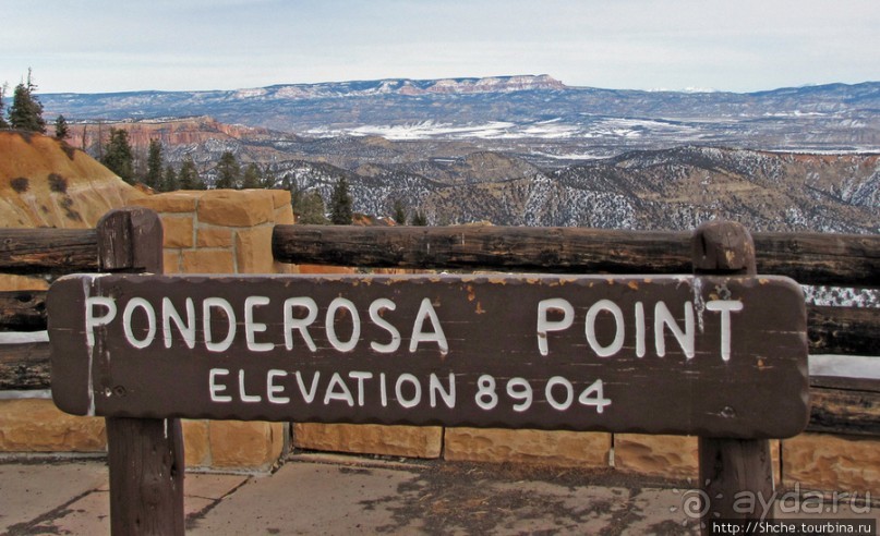 Ponderosa Canyon - американская Каппадокия
