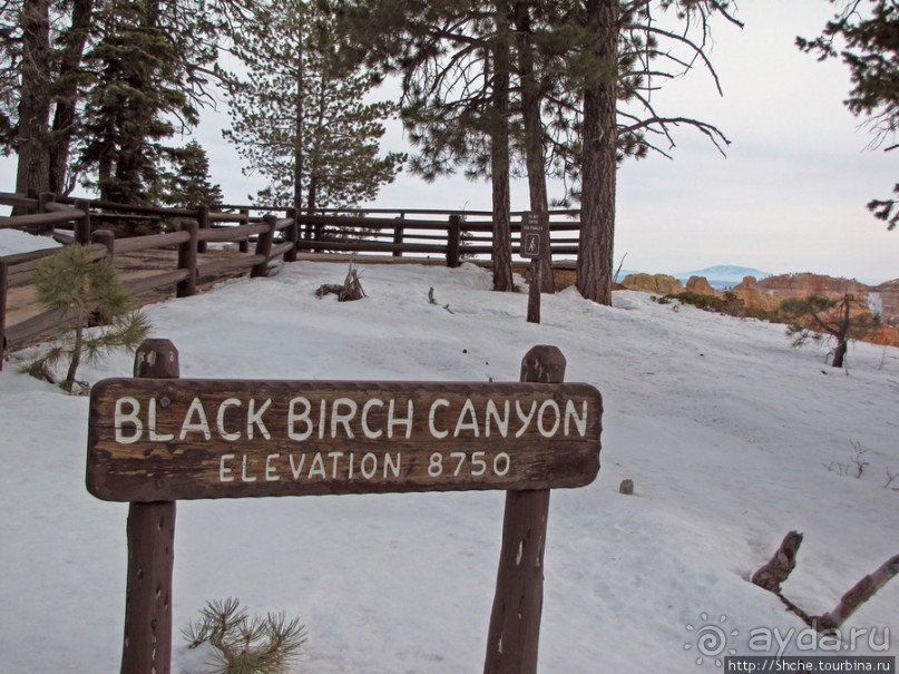 Ponderosa Canyon - американская Каппадокия