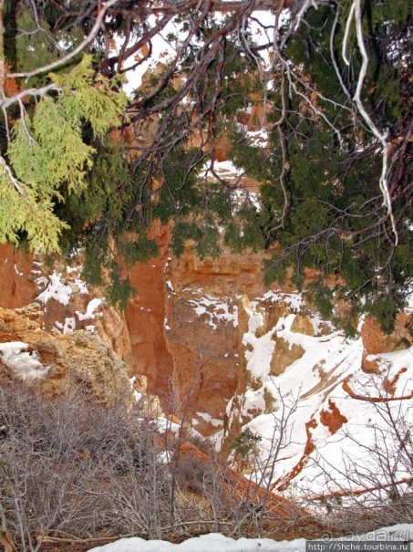 Ponderosa Canyon - американская Каппадокия