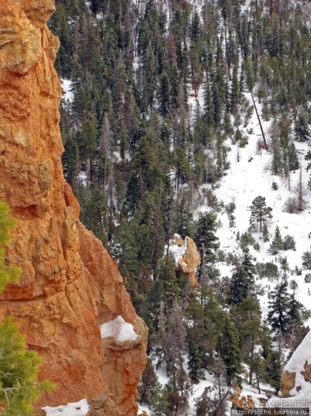 Ponderosa Canyon - американская Каппадокия