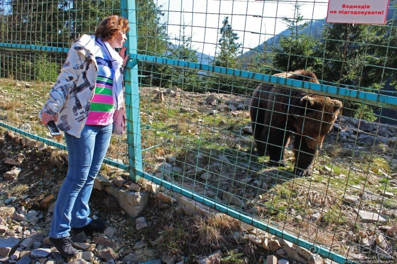 Пашка, Пашка — мишки, мишки