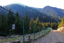 Пашка, Пашка — мишки, мишки