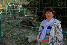 Пашка, Пашка — мишки, мишки