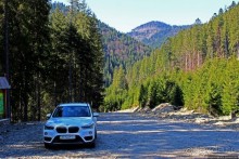 Пашка, Пашка — мишки, мишки