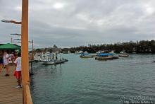 Людям тоже надо где-то жить:)) Пуэрто Айора, Галапагосы