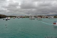 Людям тоже надо где-то жить:)) Пуэрто Айора, Галапагосы