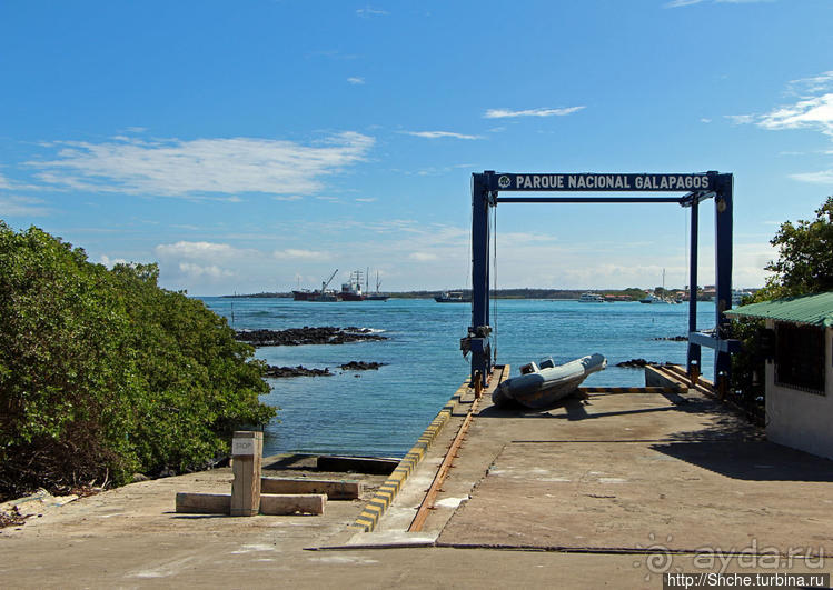 Людям тоже надо где-то жить:)) Пуэрто Айора, Галапагосы