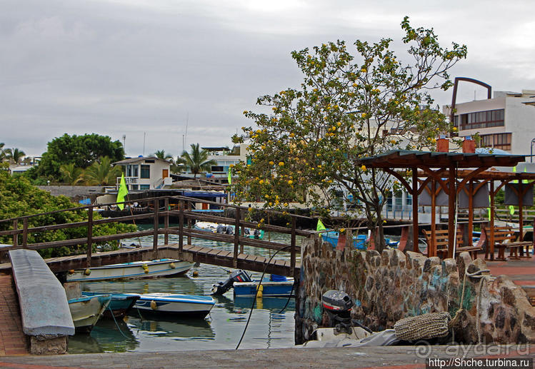 Людям тоже надо где-то жить:)) Пуэрто Айора, Галапагосы