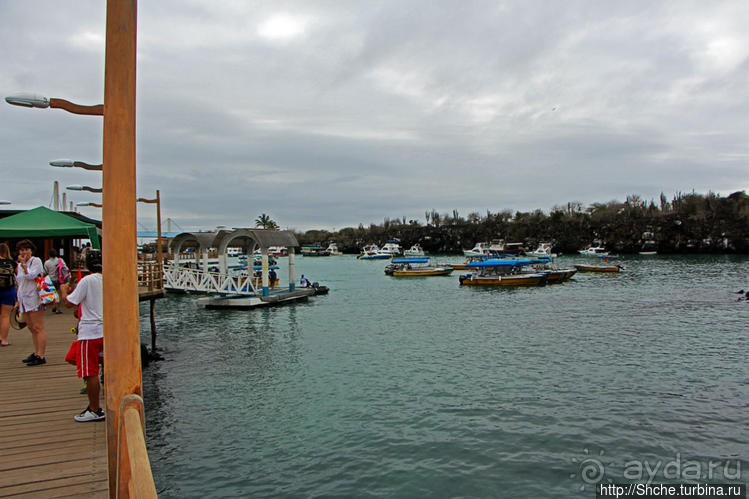 Людям тоже надо где-то жить:)) Пуэрто Айора, Галапагосы