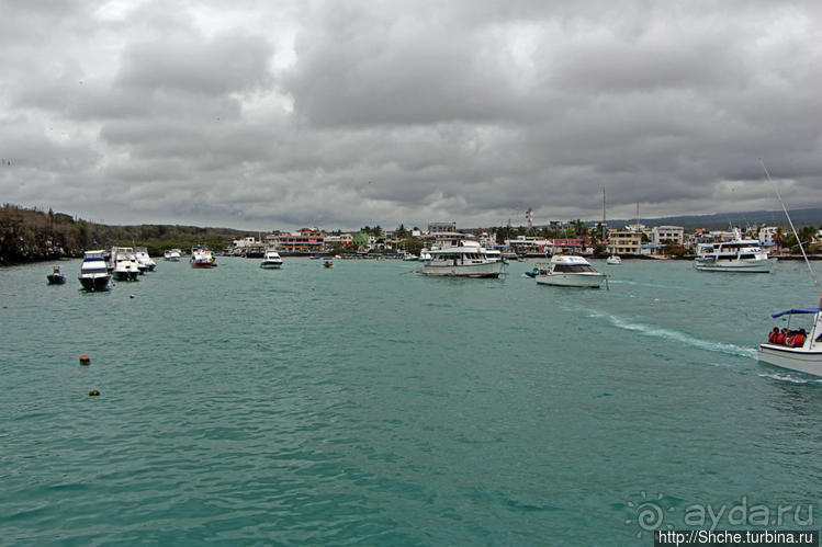 Людям тоже надо где-то жить:)) Пуэрто Айора, Галапагосы