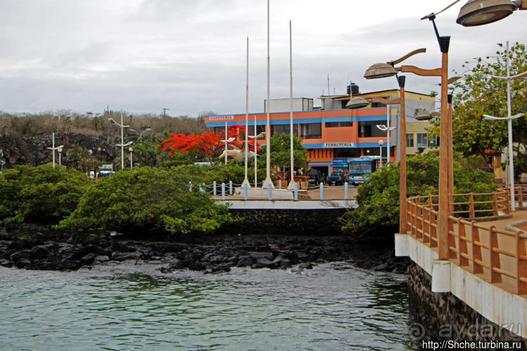 Людям тоже надо где-то жить:)) Пуэрто Айора, Галапагосы