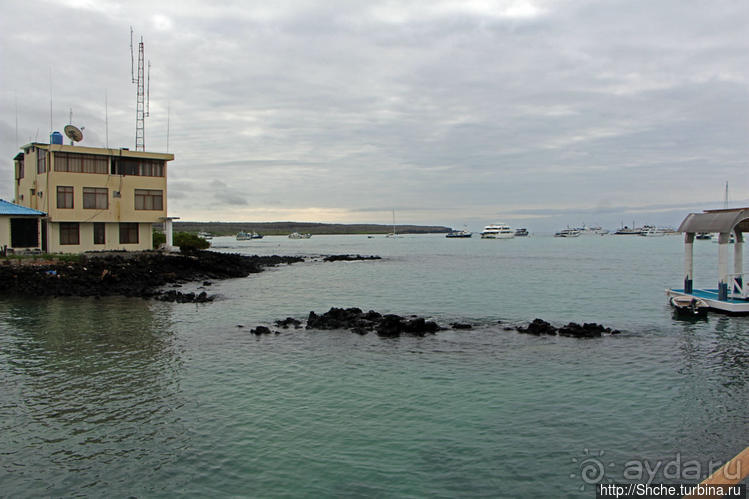 Людям тоже надо где-то жить:)) Пуэрто Айора, Галапагосы