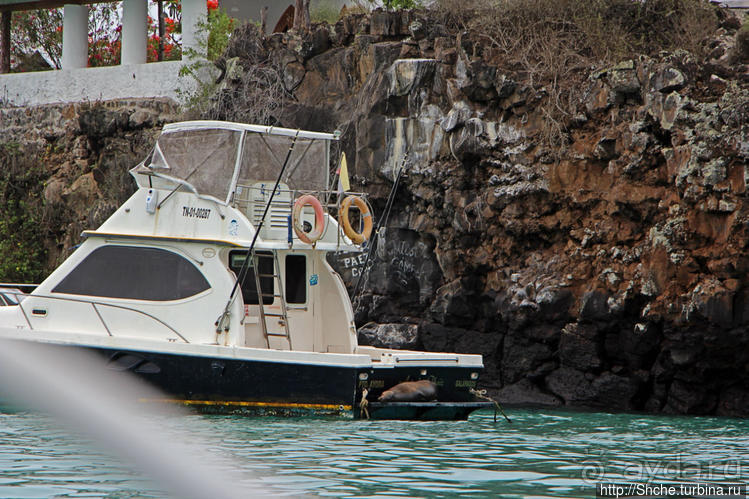 Людям тоже надо где-то жить:)) Пуэрто Айора, Галапагосы