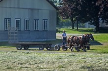 "Земля амишей" в глубинках штата Огайо