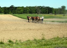 "Земля амишей" в глубинках штата Огайо