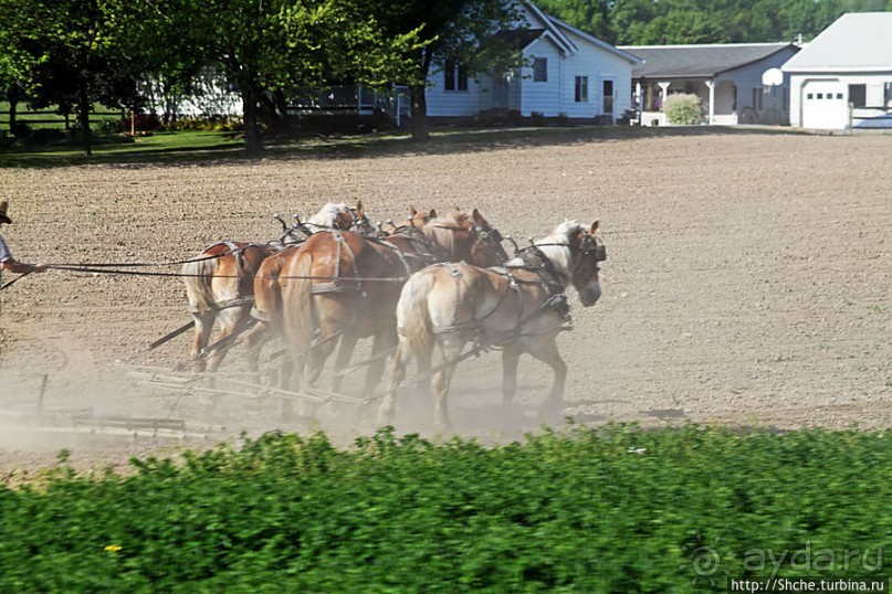 "Земля амишей" в глубинках штата Огайо