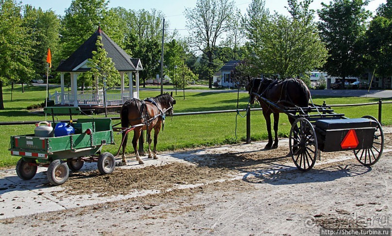 "Земля амишей" в глубинках штата Огайо