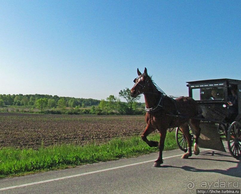 "Земля амишей" в глубинках штата Огайо