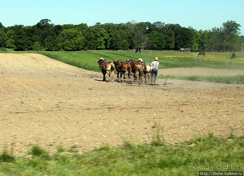 "Земля амишей" в глубинках штата Огайо