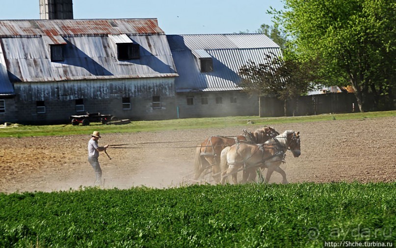 "Земля амишей" в глубинках штата Огайо