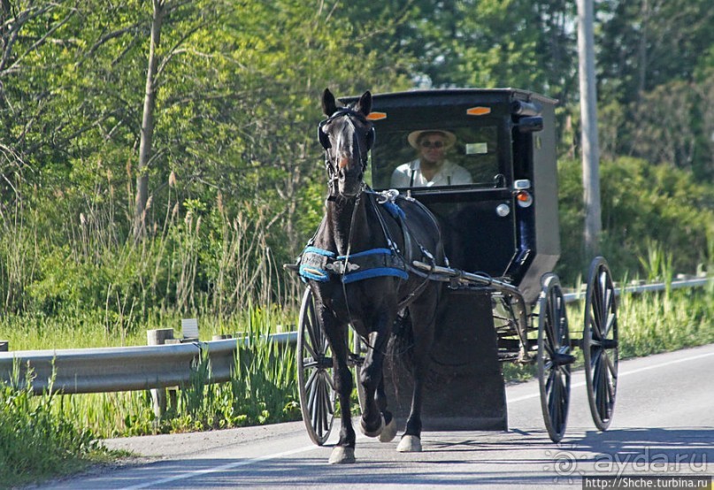"Земля амишей" в глубинках штата Огайо