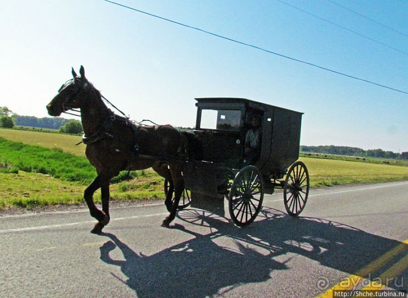 "Земля амишей" в глубинках штата Огайо
