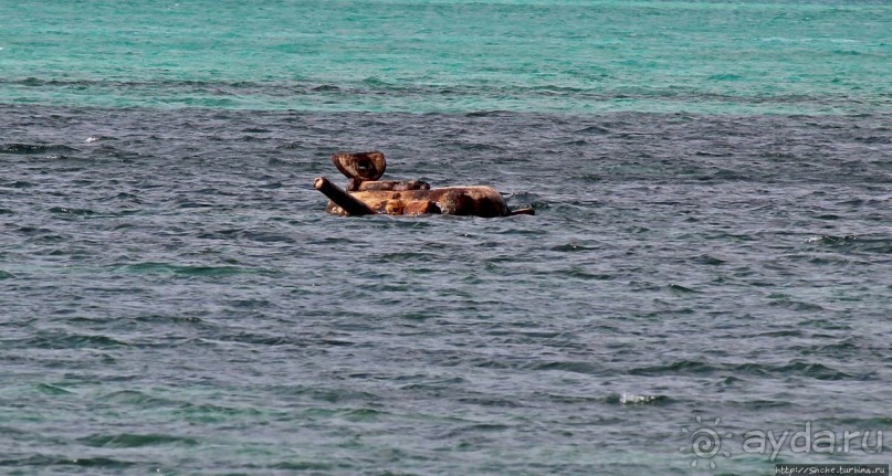 Не добрались... Танки в воде на пляже Килили