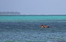 Не добрались... Танки в воде на пляже Килили