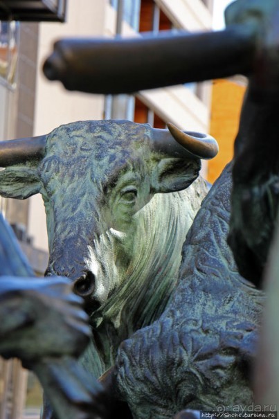 Когда мимолетное мгновение становится вечным