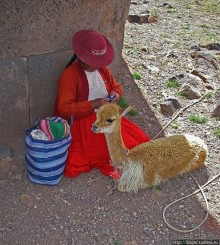 Чульпас Силлюстани — еще одна "непонятка" в Перу