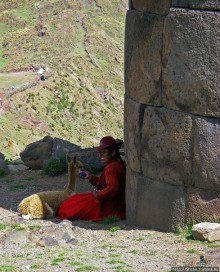 Чульпас Силлюстани — еще одна "непонятка" в Перу