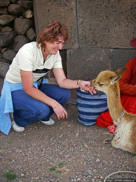Чульпас Силлюстани — еще одна "непонятка" в Перу