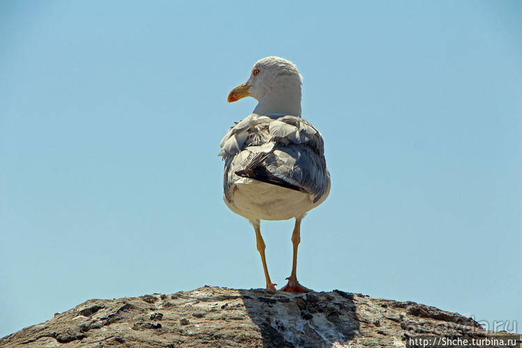 Крепость (акрополис) Кавалы и десяток ракурсов города с нее