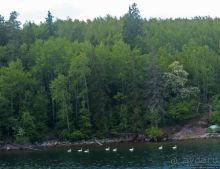 Тысяча зеленых островов Скандинавии 