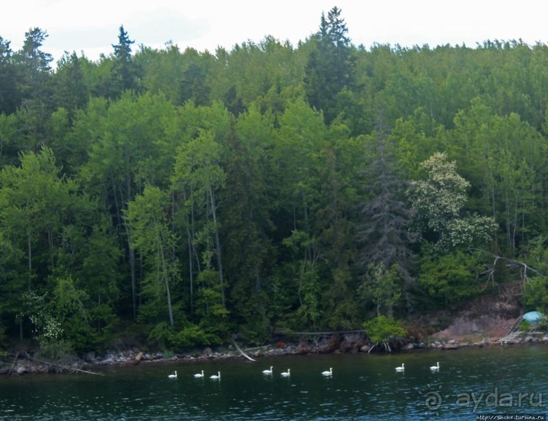 Тысяча зеленых островов Скандинавии 