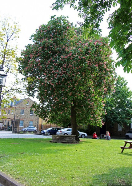 Англиканская церковь в память о замученном архиепископе