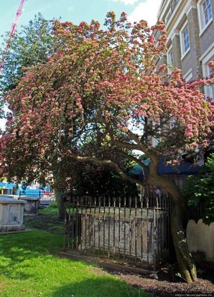 Англиканская церковь в память о замученном архиепископе