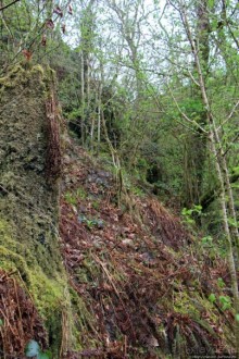 Альбом отзыва "Henrhyd — водопад в дремучем уэльском лесу"