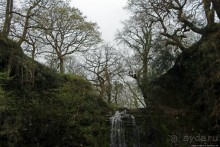 Альбом отзыва "Henrhyd — водопад в дремучем уэльском лесу"