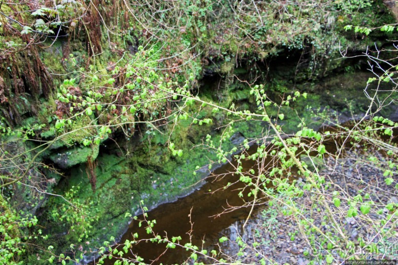 Henrhyd — водопад в дремучем уэльском лесу