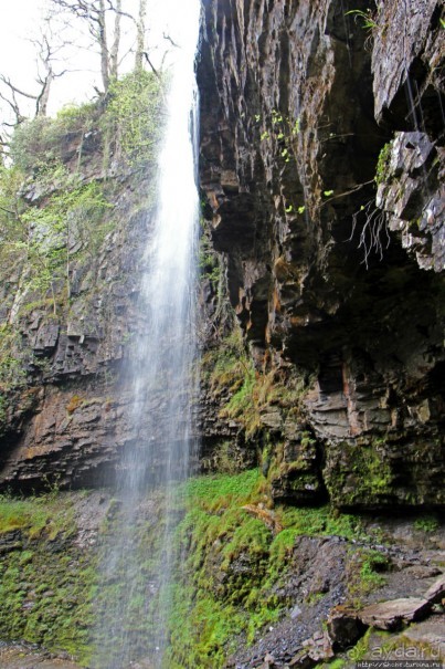 Henrhyd — водопад в дремучем уэльском лесу
