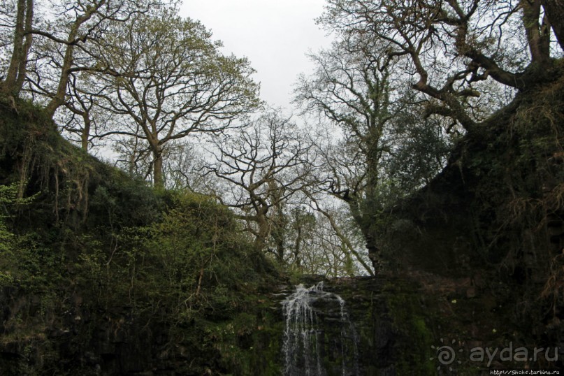 Henrhyd — водопад в дремучем уэльском лесу