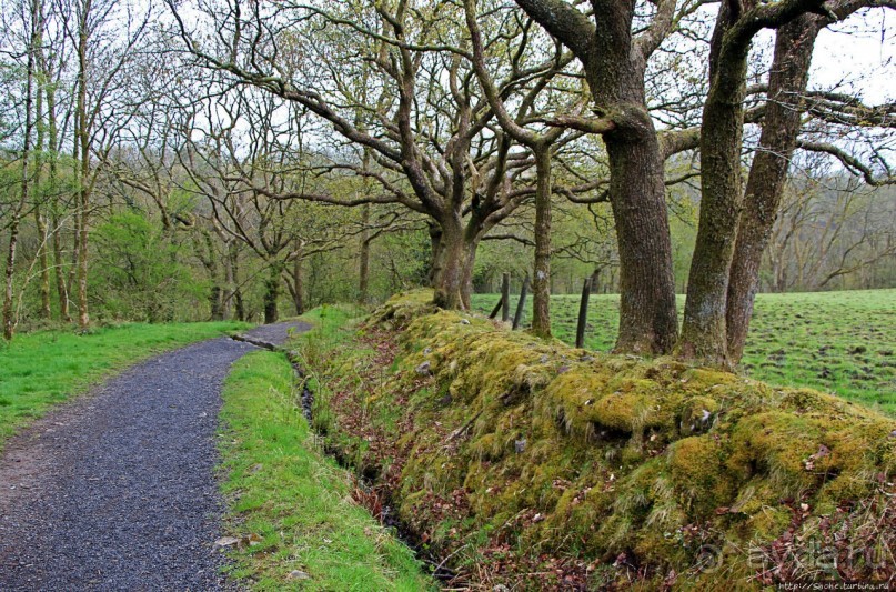 Henrhyd — водопад в дремучем уэльском лесу